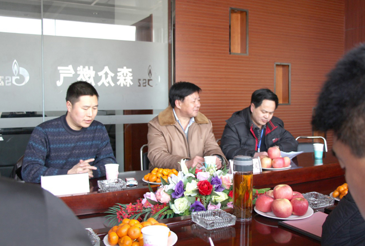 林口县政府与重庆涛声婚礼策划服务有限公司燃气项目洽谈.png